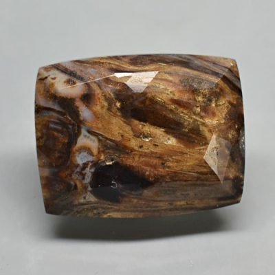 Fossil-pine-cone-Araucaria-mirabilis-9.75-ct.jpg