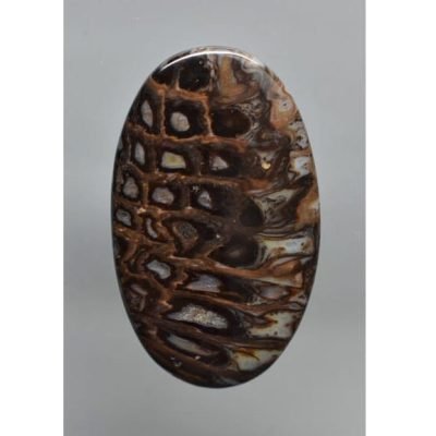 Fossilized-pine-cone-25.74-ct.-400x577-2.jpg