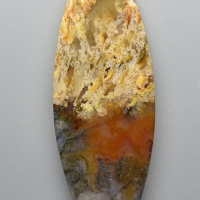Graveyard-plume-agate-32.65-ct.jpg