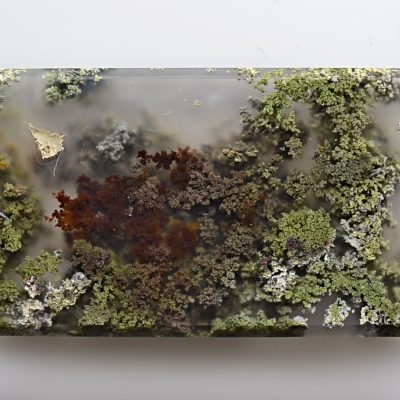 Indonesian-moss-agate-55.35-ct.jpg
