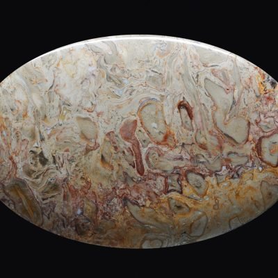 Indonesian-palm-root-177.99-ct.jpg