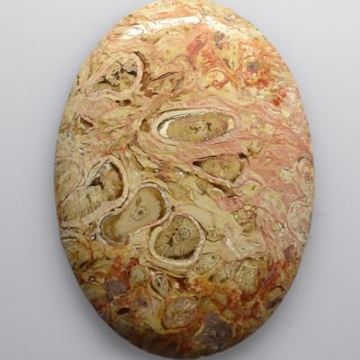 Indonesian-palm-root-43.39-ct.jpg