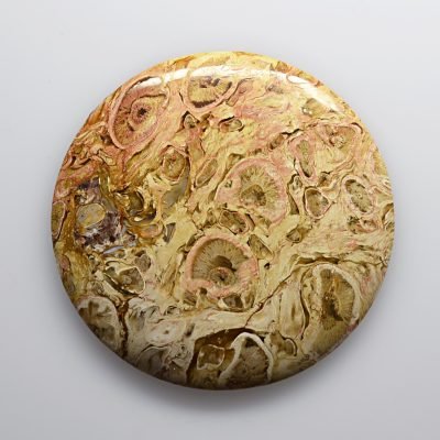 Indonesian-palm-root-55.73-ct.jpg