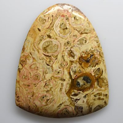 Indonesian-palm-root-57.87-ct.jpg