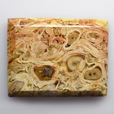 Indonesian-palm-root-72.23-ct.jpg