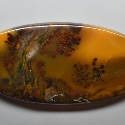 Kazachsthan-moss-agate-156.60-ct.jpg