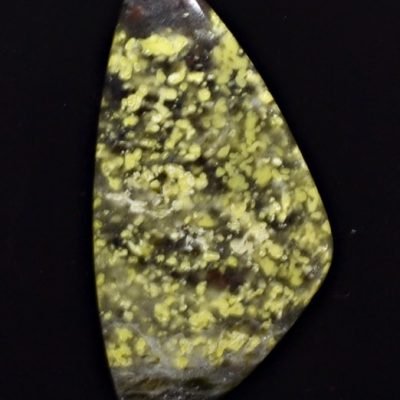 Lizard-stone-11.63-ct.jpg