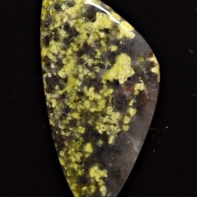 Lizard-stone-12.50-ct.jpg