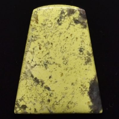 Lizard-stone-24.34-ct.jpg