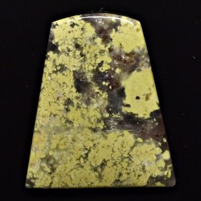 Lizard-stone-25.81-ct.jpg