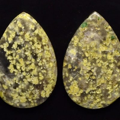 Lizard-stone-pair-27.75-ct.jpg