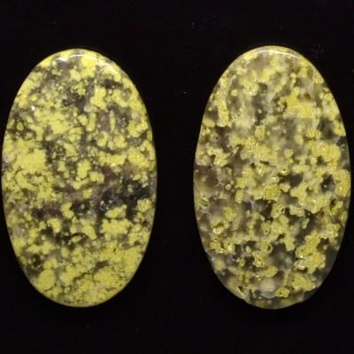 Lizard-stone-pair-28.20-ct.jpg
