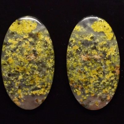 Lizard-stone-pair-33.48-ct.jpg