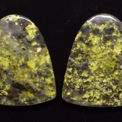 Lizard-stone-pair-35.50-ct.jpg