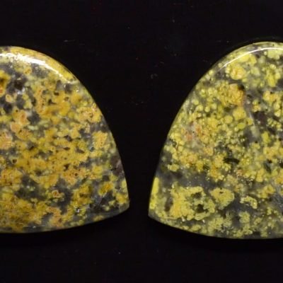 Lizard-stone-pair-36.43-ct.jpg