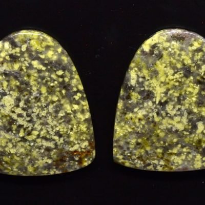 Lizard-stone-pair-36.77-ct.jpg