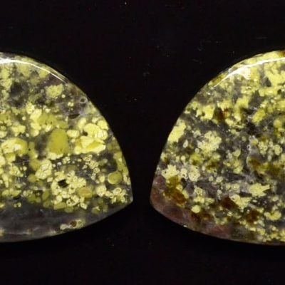 Lizard-stone-pair-49.38-ct.jpg