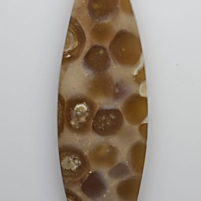 Oolite-20.04-ct.jpg