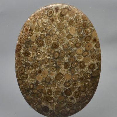 Oolite-46.93-ct.jpg