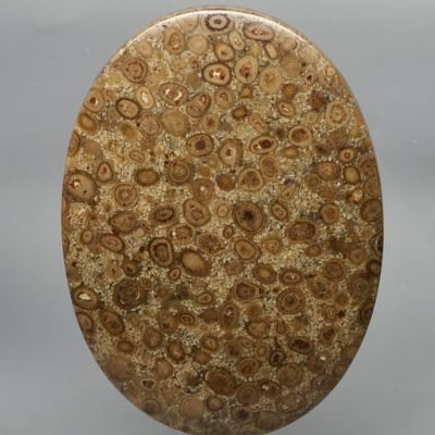 Oolite-47.16-ct.jpg