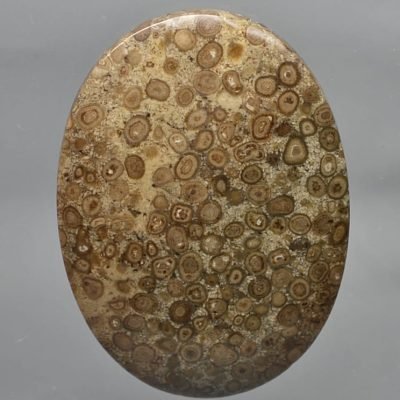 Oolite-57.47-ct.jpg