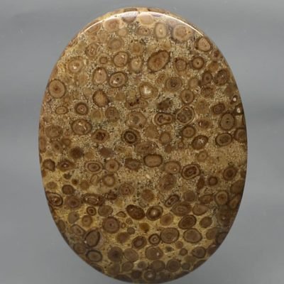 Oolite-58.10-ct.jpg
