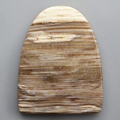 Opalized-wood-26.08-ct.jpg