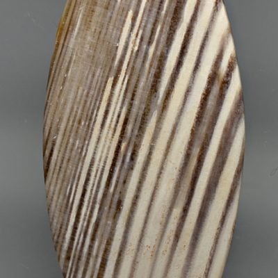 Opalized-wood-35.52-ct.jpg