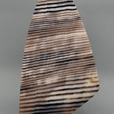 Opalized-wood-36.42-ct.jpg