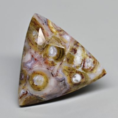 Palm-root-wood-7.98-ct.jpg