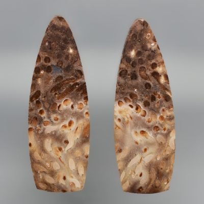 Palm-wood-22.18-ct.jpg
