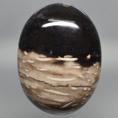 Palm-wood-58.72-ct.jpg