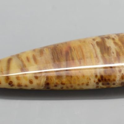 Palm-wood-64.53-ct.b.jpg