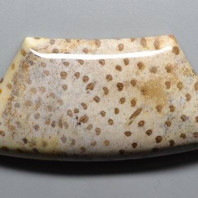 Palm-wood-79.89-ct.jpg