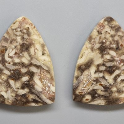 Palm-wood-pair-21.41-ct.jpg