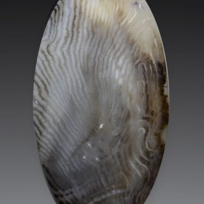 Petrifed-juniper-wood-148.32-ct.jpg