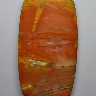 Petrified-wood-100.91-ct.jpg