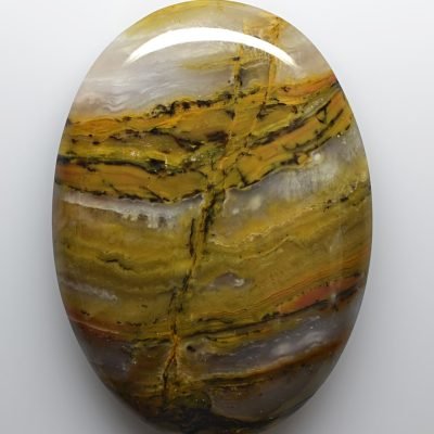 Petrified-wood-123.70-ct.jpg