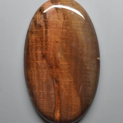Petrified-wood-145.25-ct.jpg