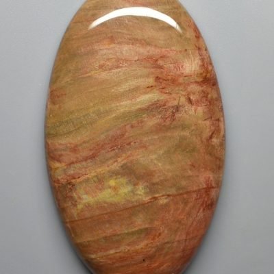 Petrified-wood-153.83-ct.jpg