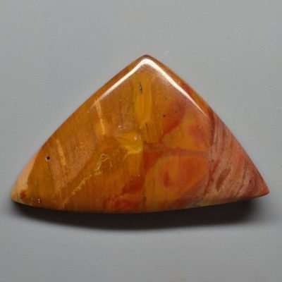 Petrified-wood-20.85-ct.jpg