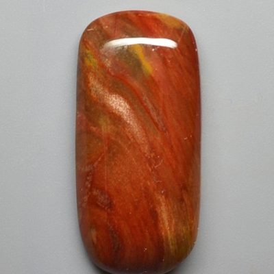 Petrified-wood-26.48-ct.jpg