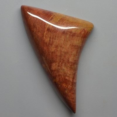 Petrified-wood-30.86-ct.jpg