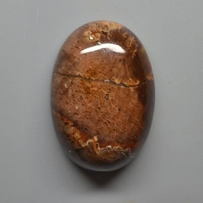 Petrified-wood-32.57-ct.jpg