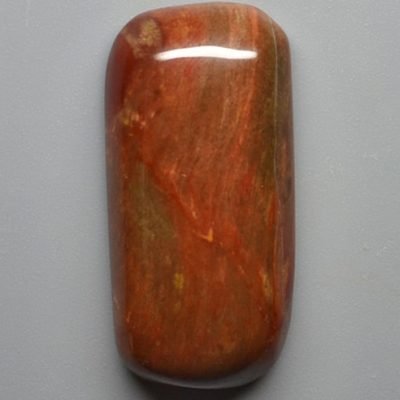 Petrified-wood-33.90-ct.jpg