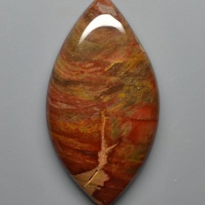 Petrified-wood-34.24-ct.jpg
