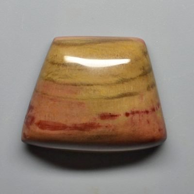 Petrified-wood-47.83-ct.jpg