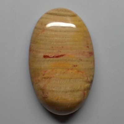 Petrified-wood-47.98-ct.jpg