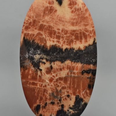 Petrified-wood-48.09-ct.-1.jpg