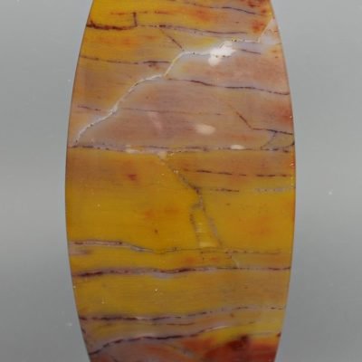 Petrified-wood-48.66-ct.jpg